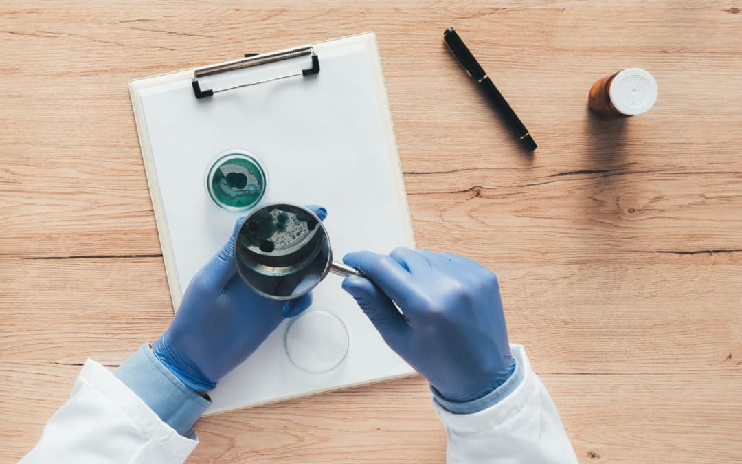 Problèmes de santé liés au Mérule