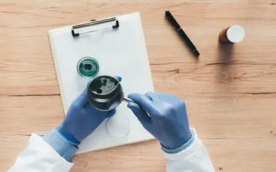 Problèmes de santé liés au Mérule