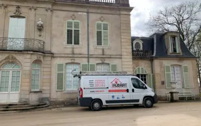 Champignon Lignivore : attention aux invasions sur votre charpente !