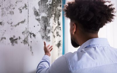 Humidité : quels traitements choisir ?