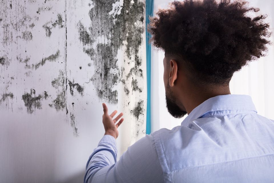Humidité : quels traitements choisir ?