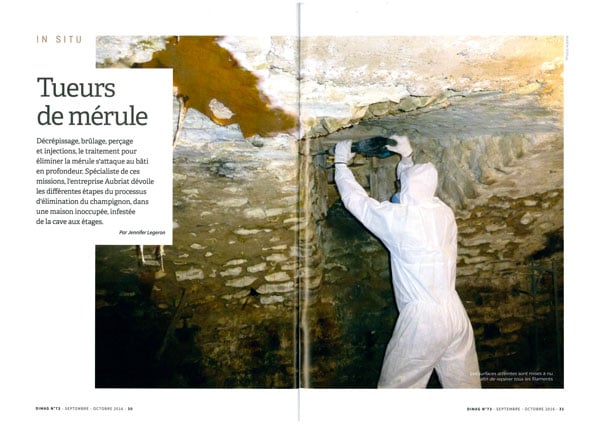 Aubriat dans la presse : DIMAG, article sur le Mérule