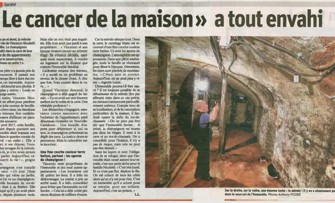 Aubriat dans la presse : Mérule à Metz