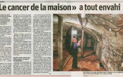 Aubriat dans la presse : Mérule à Metz